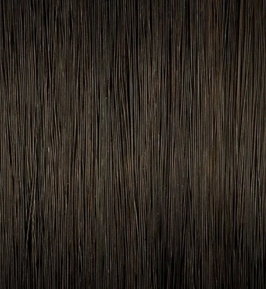 Fő kép